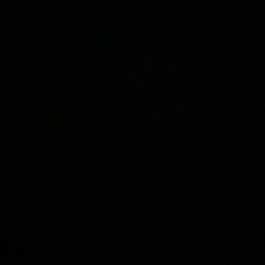 Meet your Posher, Elsa